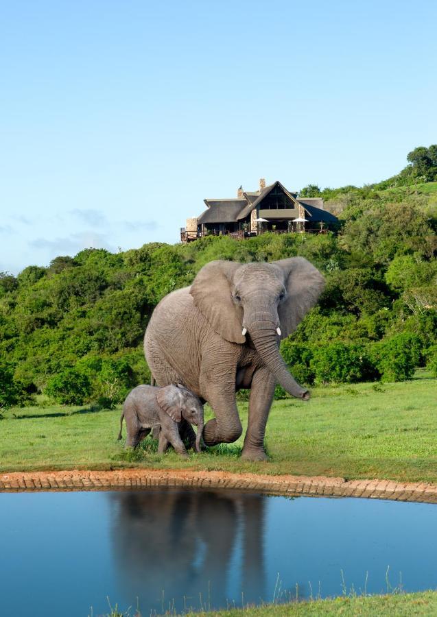 Hopewell Private Game Reserve Buyskloof Exterior photo
